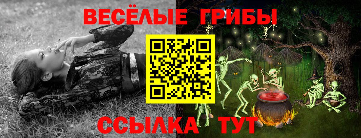 Галлюциногенные грибы Psilocybine cubensis  Вход с VPN  Тулун 
